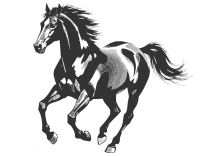 Running horse - grayscale