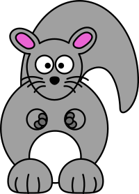 Chinchilla