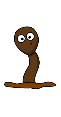Worm