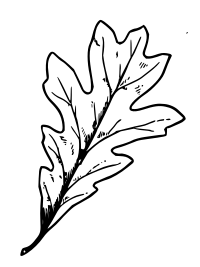 Lutz - Oak leaf - outline