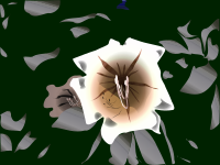 Bus Stop Flower