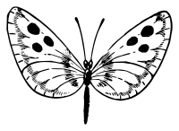 Lutz - Butterfly D - outline