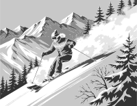 Skier - grayscale