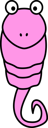 Shrimp