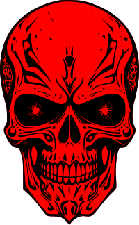 Punk skull