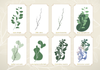 Eucalyptus branch declinations