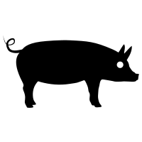 Pig