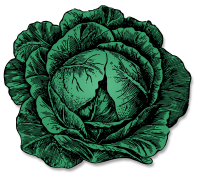 Cabbage - Isolated and Colour Remix