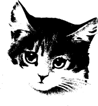 Cat 2