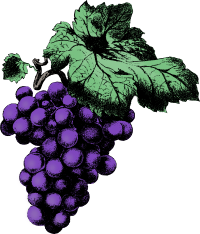 Grapes - Colour Remix