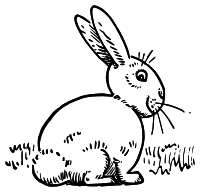 Lutz - Rabbit 1 - outline