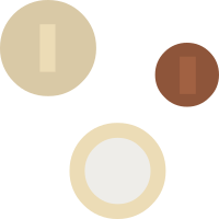Money Coins Icon