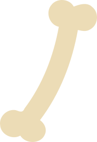 Bone Icon