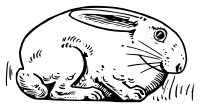 Lutz - Rabbit 3 - outline