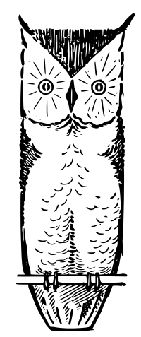 Lutz - Owl1 - outline