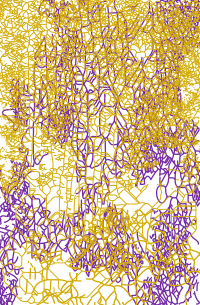 Abstract Purple Yellow