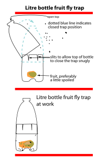 trap piège