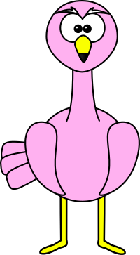 Flamingo