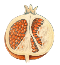 Pomegranate Sliced