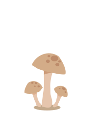 Mushrooms