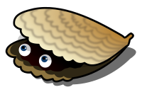 Clam Isolated