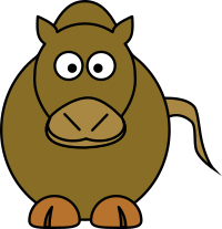 Camel