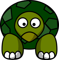 Tortoise