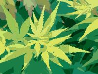 Green Autumn Leaves