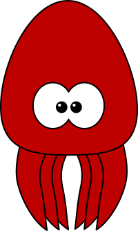 Squid