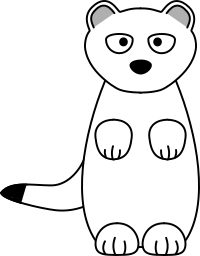 Stoat