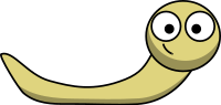 Slug