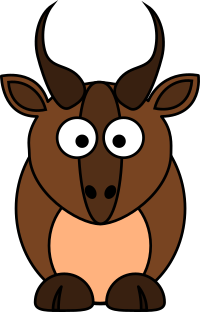 Pronghorn