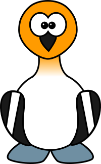 Avocet