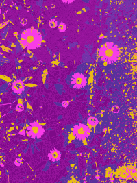 Abstract Pink Flowers
