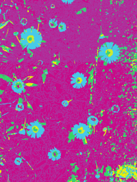 Abstract Blue Flowers