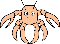 Spider Crab
