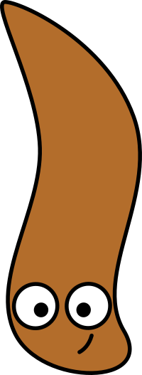 Flatworm