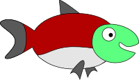 Salmon