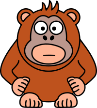 Orangutan