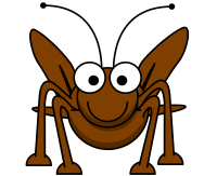 Cricket