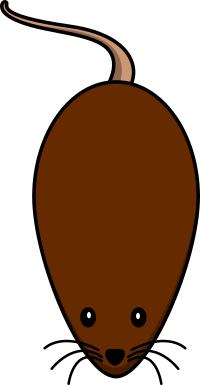 Vole