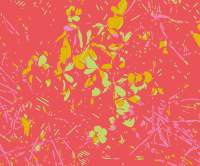 Abstract Pink Chaos