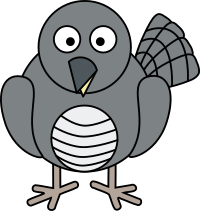 Cuckoo