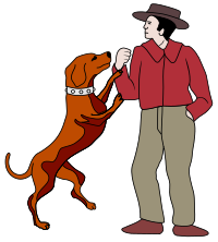 Man and a Dog