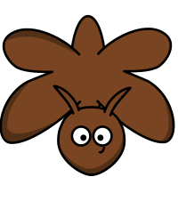 Moth
