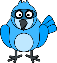 Blue Jay