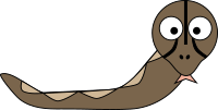 Boa
