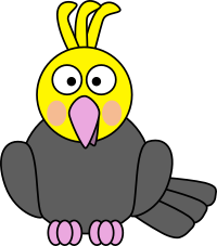 Cockatiel
