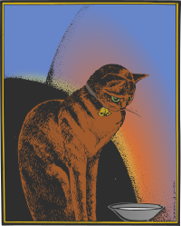 Cat - Colour Remix