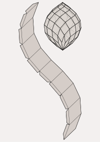 3D dome layout